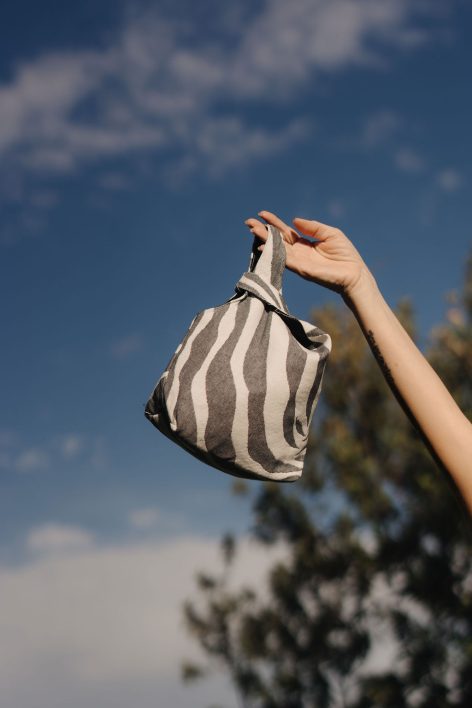 BOLSO MINI CRUZADO CEBRA